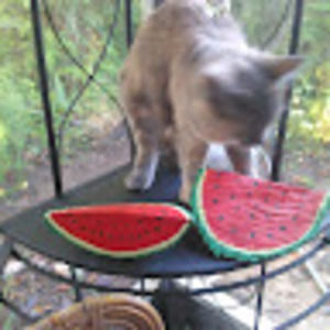 Meet your Posher, Kate